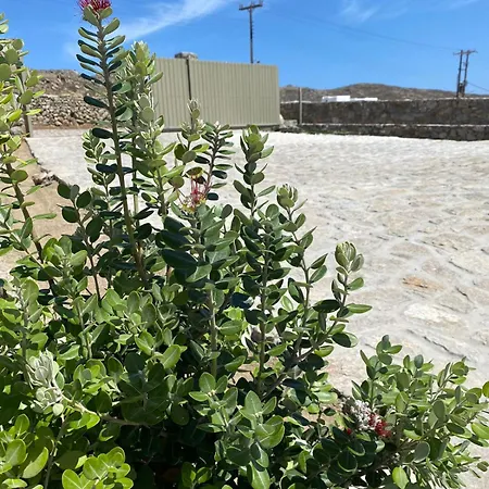 Citadel Natural Stone Villa Mykonos Town