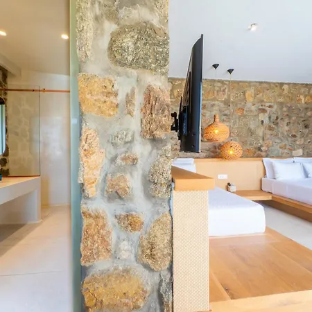 Citadel Natural Stone וילה *
