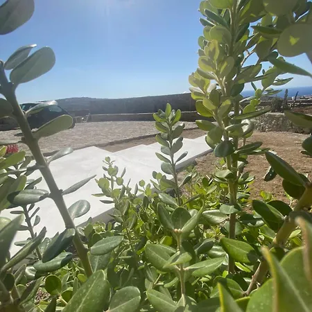 Citadel Natural Stone Vila